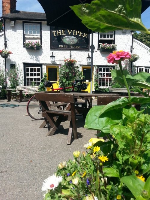 The Viper Pub, Mill Green