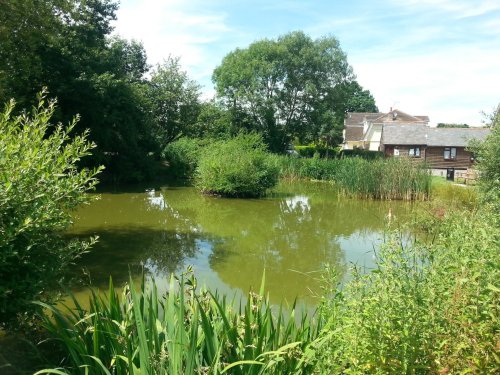 Village Green, Kelvedon Hatch