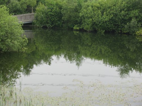 Whisby Nature Reserve