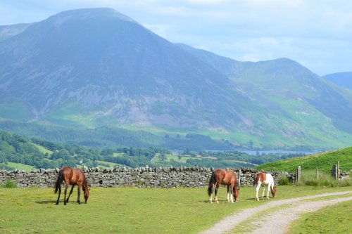 Grasmoor view