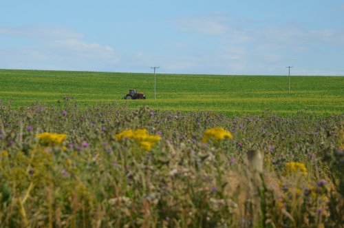 Working the land