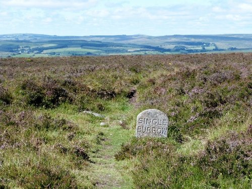 Dartmoor