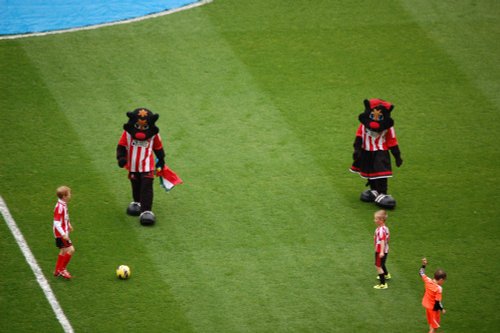 Black Cats Mascots