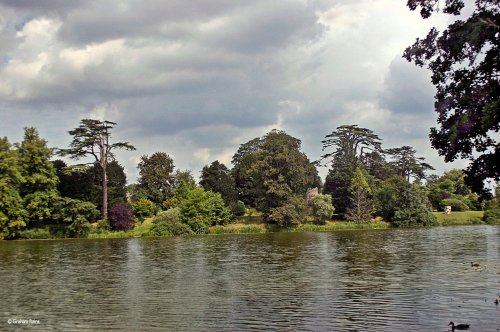 Sherborne Castle Grounds