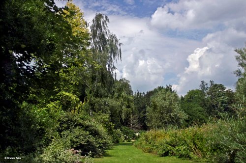 Sherborne Castle Grounds