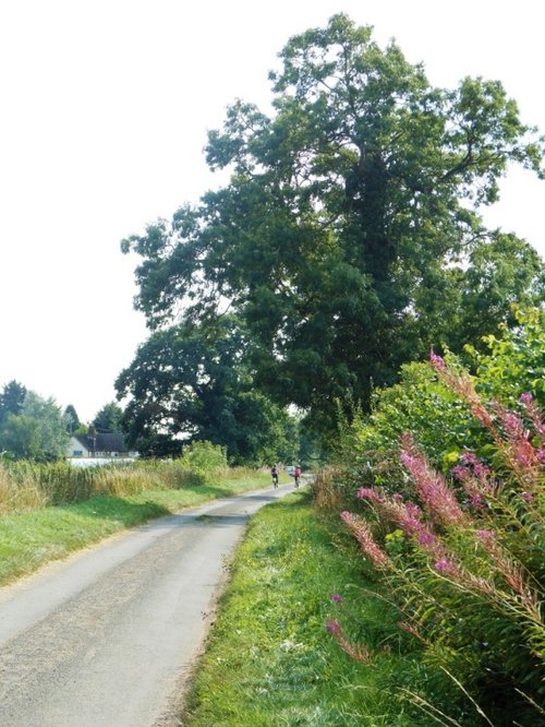 Windmill Lane, Dunchurch