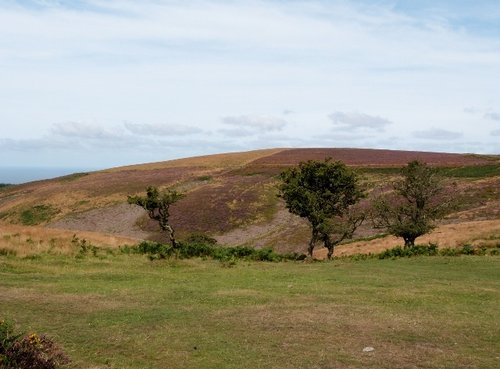 Quantock Hills