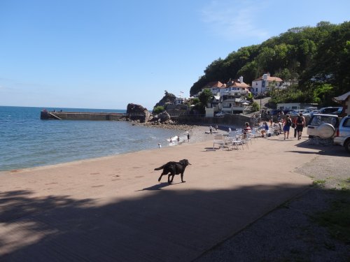 South West Coast Path overlooking the Cary Arms