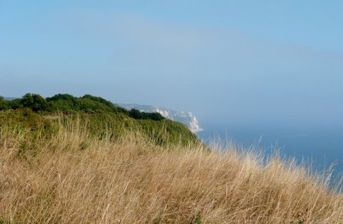 Branscombe