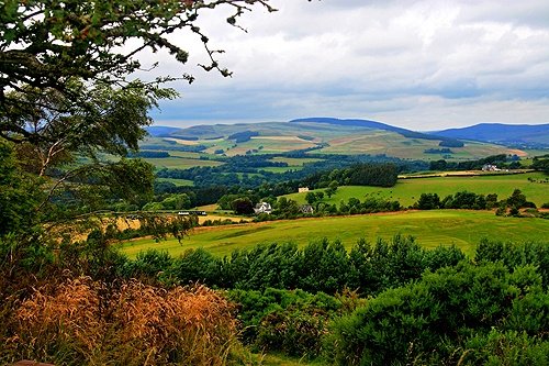 Selkirk Landscape