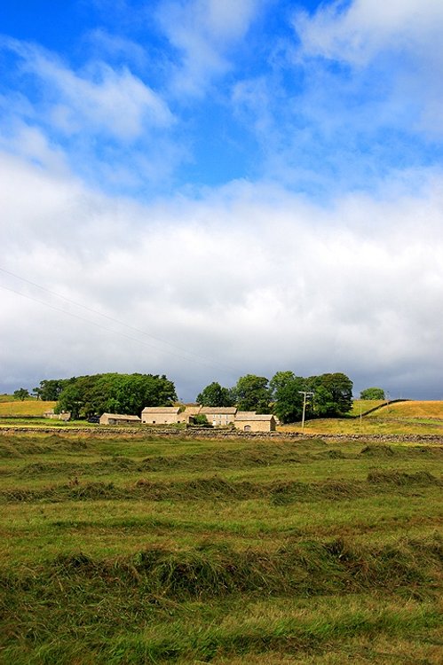 Low Birk Hat Farm Baldersdale