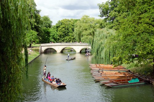 Punting on the Cam in Cambridge