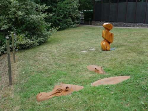 Hippos near the Motor Museum