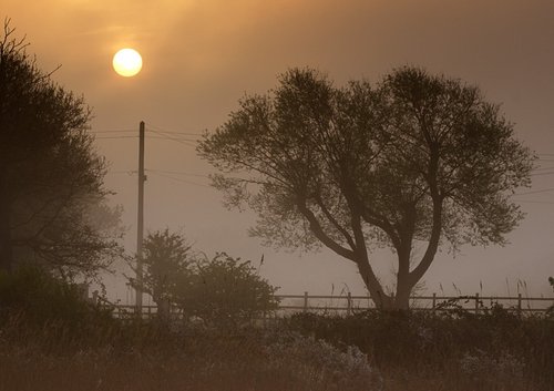 Misty Sunrise at Keyhaven