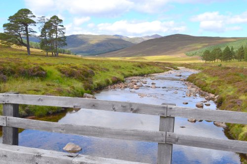 Glen Lui