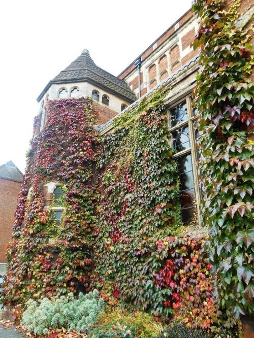 Rugby School