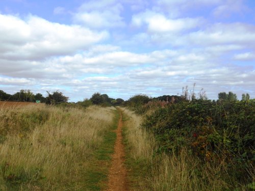 Old railway line near Cawston