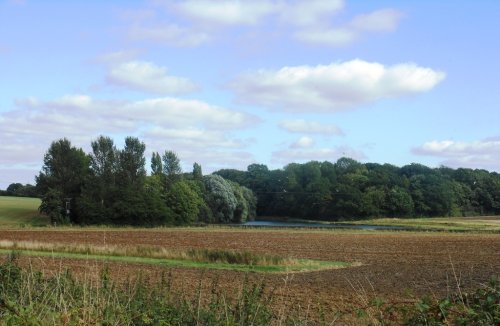 Cawston Woods and Pool/Reservoir