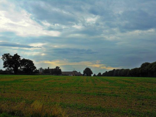 Farmland, Cawston