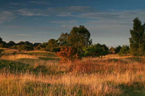 Barnack Hills & Holes NNR