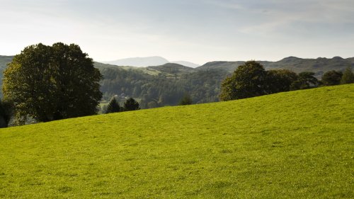 Loughrigg Fell