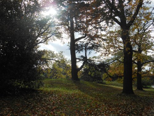 Kew Gardens