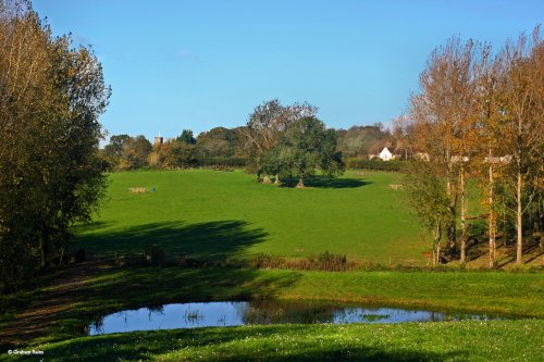 Stour Valley Autumn