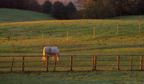 Hartshill