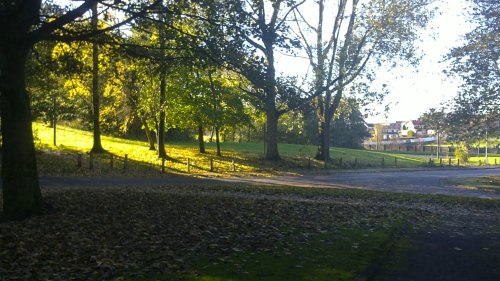 Autumn in Royton