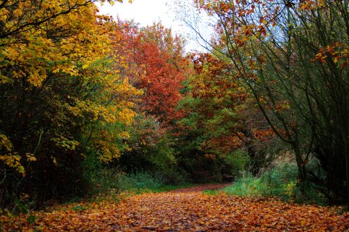 Kingsbury Water Park