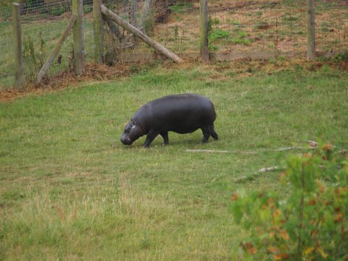 Marwell Zoo