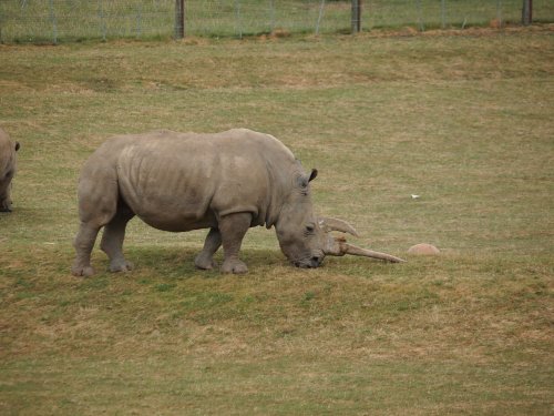 Marwell Zoo