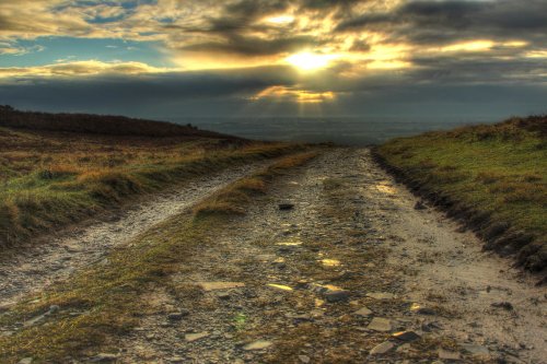 Bradgate Park