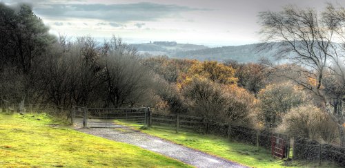 Bradgate Park