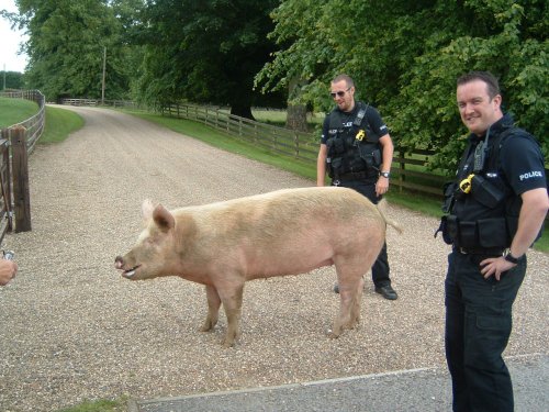 New police recruits in Louth