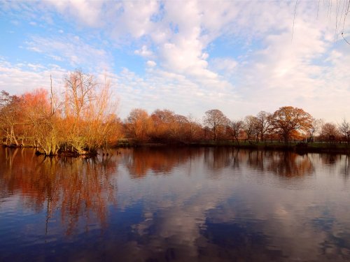 The lake at Nidd, winter.