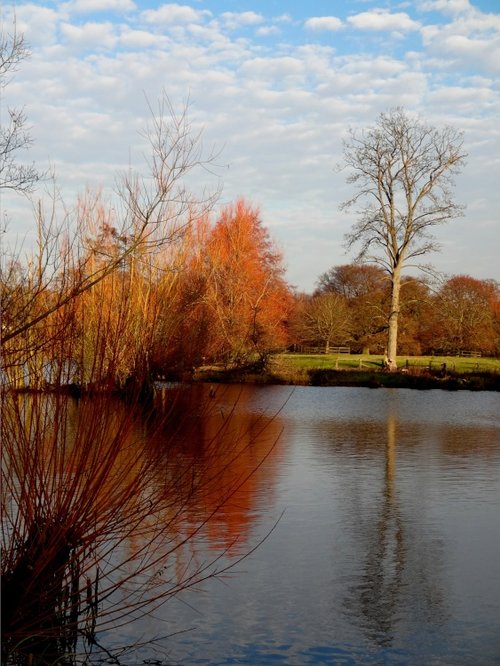 The lake at Nidd in winter.