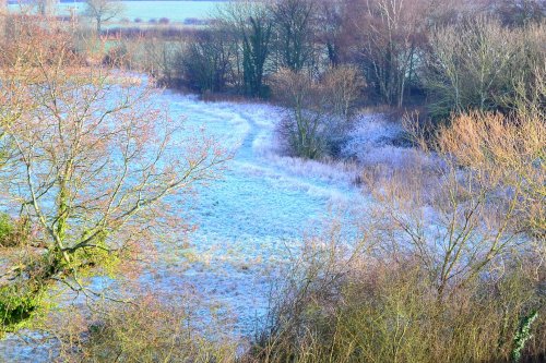 Frosty field