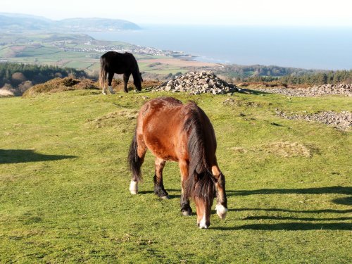 Quantock Hills