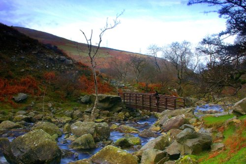 Aber Falls - Abergwyngregyn