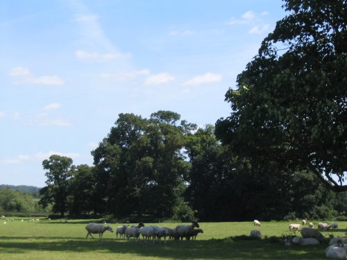 Lacock Abbey Grounds (5) - July, 2008