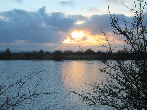 Cliffe Pools