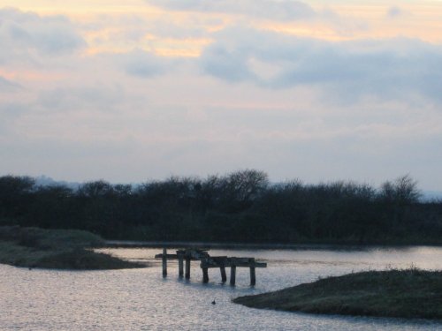 Cliffe Pools