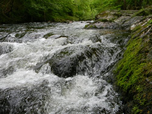 Dartmoor