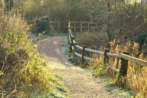 Daventry country park