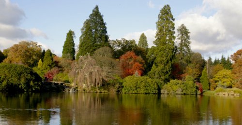 Autumn Lake