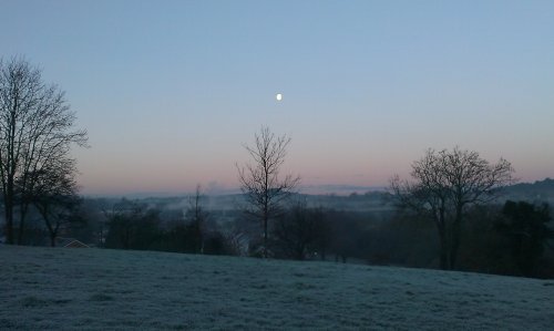 A frosty view of Frankly Beeches.