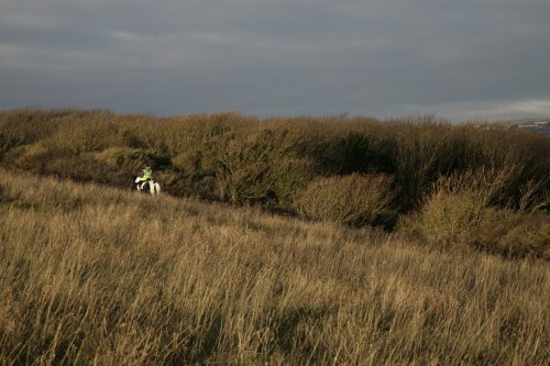 Winter Weald