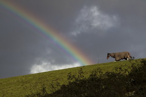 Some where over the rainbow near Fordingbridge...