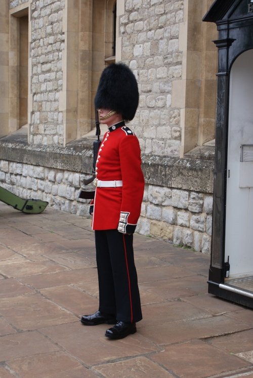 Guardsman On Duty